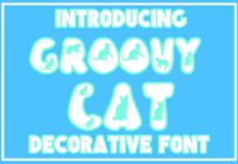 Groovy Cat Font Poster 1