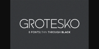 Grotesko Font Poster 1