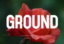 Ground Font Poster 1