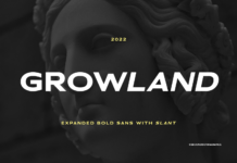 Growland Font Poster 1