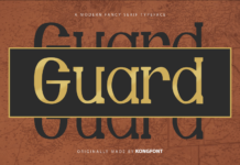 Guard Poster 1