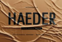 Haeder Font Poster 1