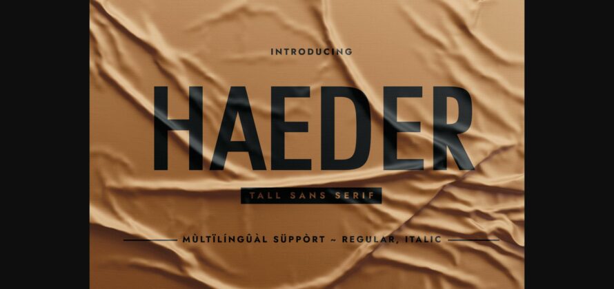 Haeder Font Poster 1