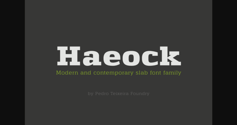 Haeock Family Poster 3