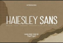 Haiesley Sans Font Poster 1