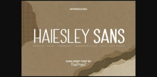 Haiesley Sans Font Poster 1