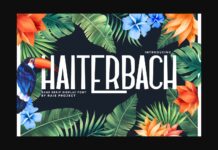 Haiterbach Font Poster 1