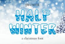 Half Winter Font Poster 1