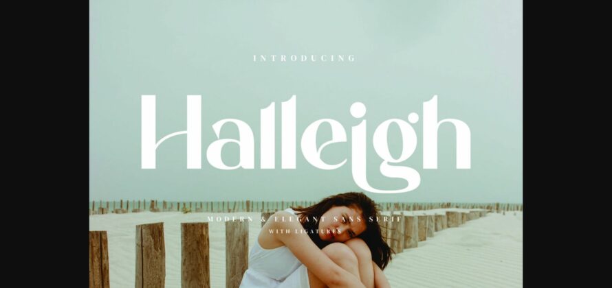 Halleigh Font Poster 3