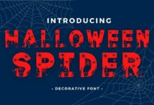Halloween Spider Font Poster 1