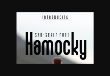 Hamocky Font Poster 1