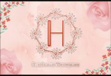 Handrawn Monogram Font Poster 1