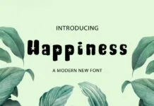 Happiness Font Happiness Font Poster 1