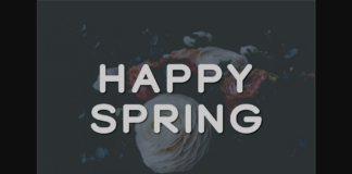 Happy Spring Font Poster 1
