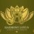 Harmony Lotus Mandala Monogram Font