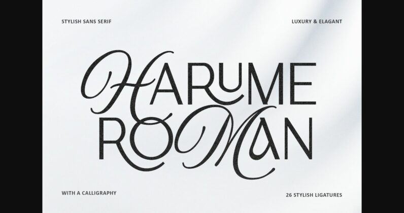 Harume Roman Font Poster 3