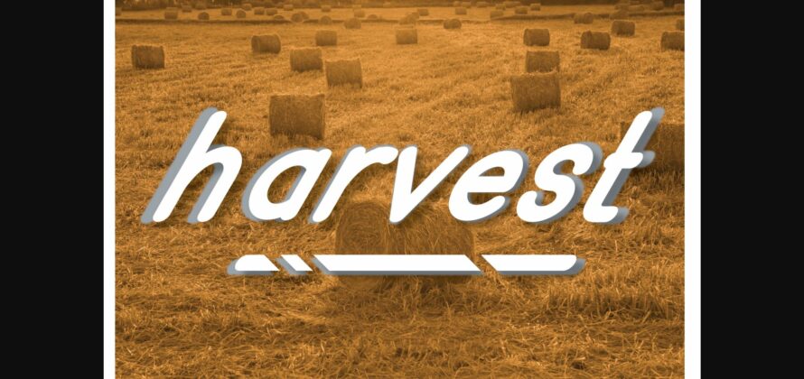 Harvest Font Poster 3