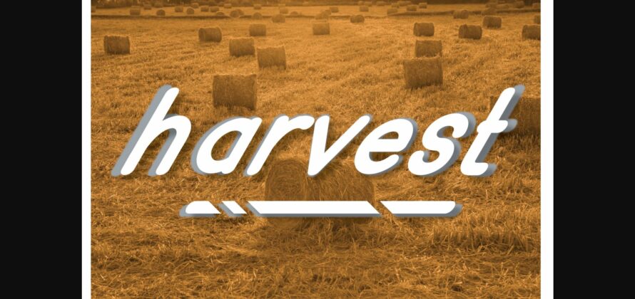 Harvest Font Poster 3