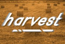 Harvest Font Poster 1