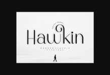 Hawkin Font Poster 1