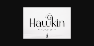 Hawkin Font Poster 1