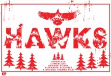 Hawks Font Poster 1