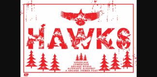 Hawks Font Poster 1