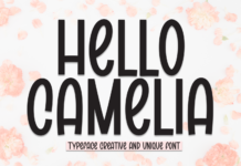 Hello Camelia Font Poster 1