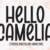 Hello Camelia Font