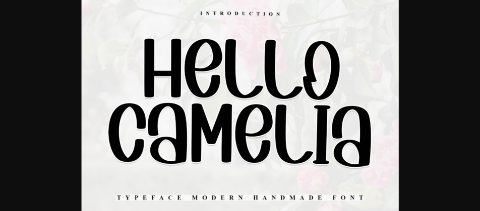 Hello Camelia Font Poster 3