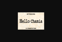 Hello Chamia Poster 1