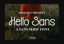 Hello Sans Font Poster 1