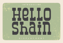 Hello Shain Poster 1