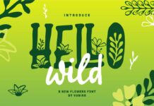 Hello Wild Font Poster 1