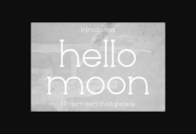 Hellomoon Font Poster 1