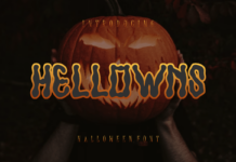 Hellowns Font Poster 1