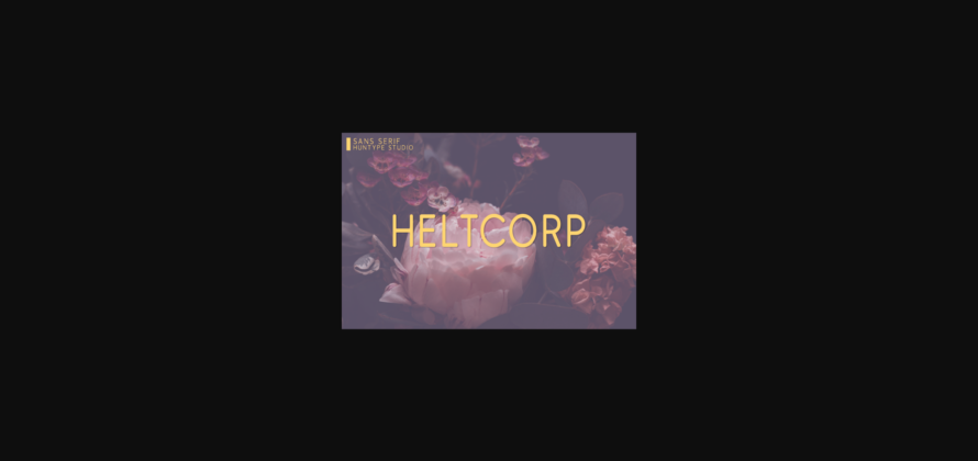 Heltcorp Font Poster 3