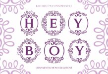 Hey Boy Font Poster 1