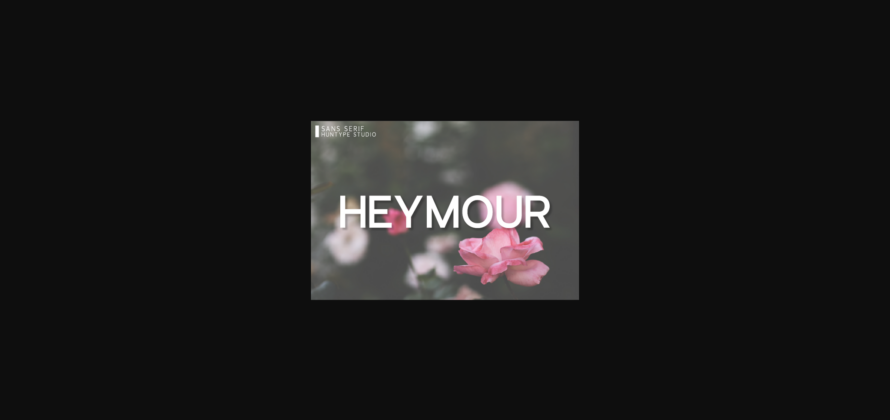 Heymour Font Poster 3