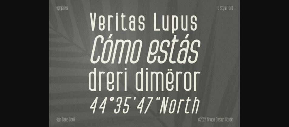 Highjenks Font Poster 8