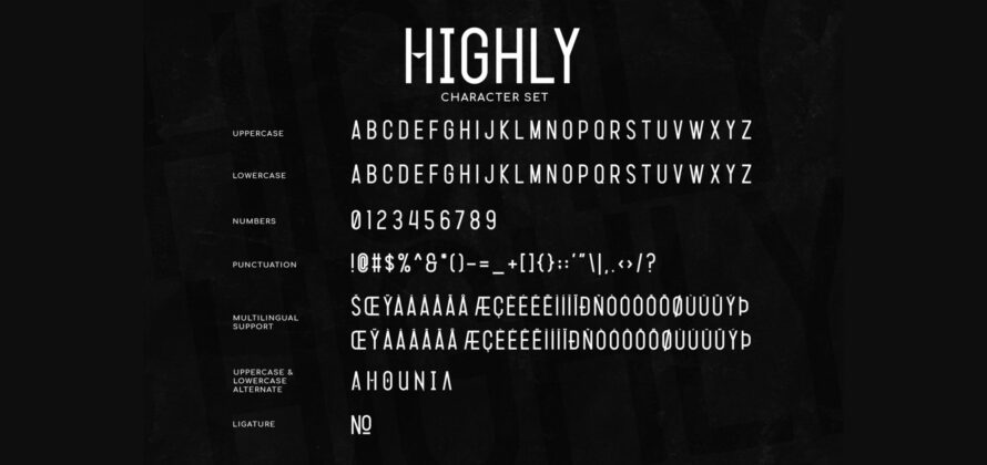 Highly Font Poster 9