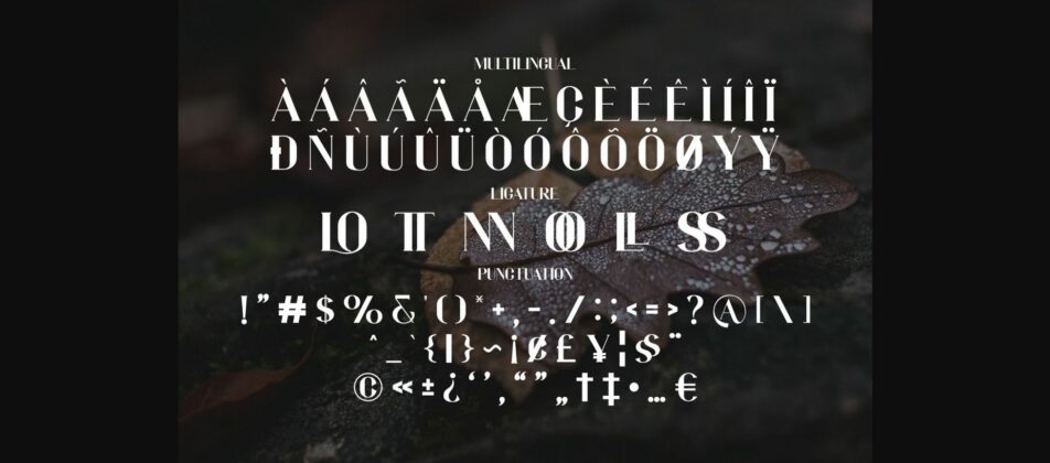 Hilond Font Poster 8