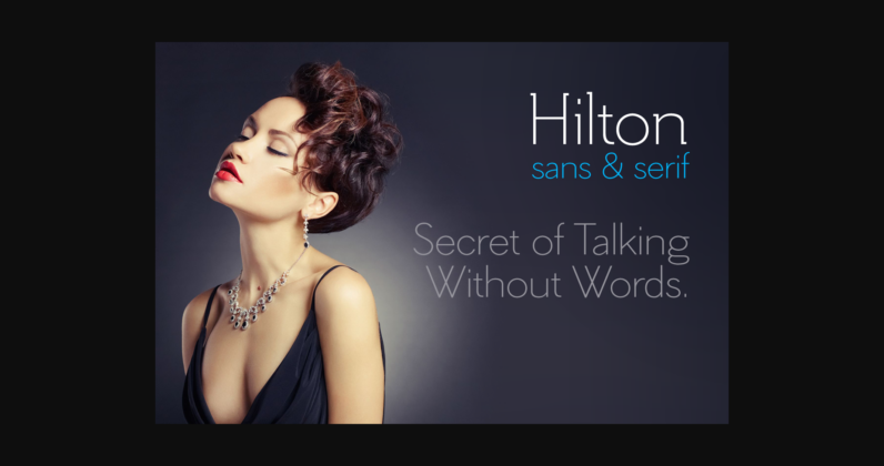 Hilton Sans Font Poster 4