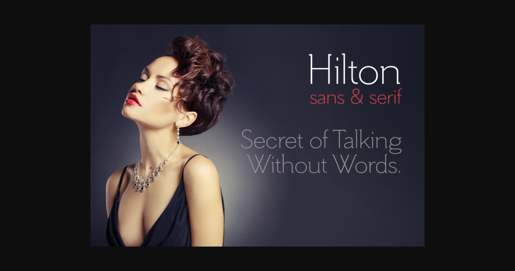 Hilton Serif Font Poster 1