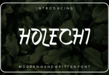 Holechi Poster 1
