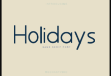 Holidays Font Poster 1