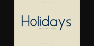 Holidays Font Poster 1