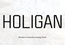 Holigan Font Poster 1