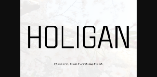 Holigan Font Poster 1