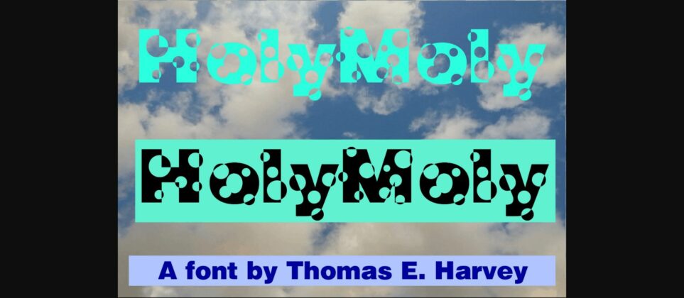 HolyMoly Font Poster 3